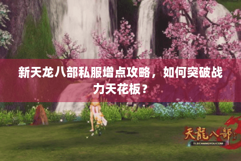 新天龙八部私服增点攻略,如何突破战力天花板? 新天龙八部私服增点攻略,如何突破战力天花板?