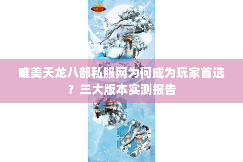 唯美天龙八部私服网为何成为玩家首选？三大版本实测报告