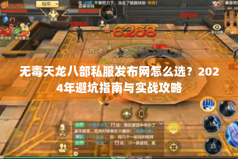 无毒天龙八部私服发布网怎么选？2024年避坑指南与实战攻略