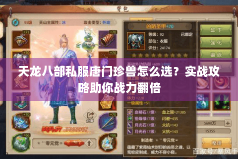 天龙八部私服唐门珍兽怎么选?实战攻略助你战力翻倍 天龙八部私服唐门珍兽怎么选?实战攻略助你战力翻倍