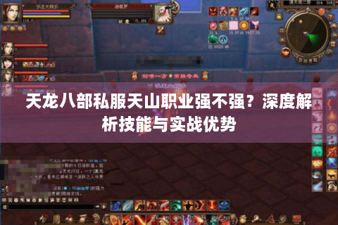 天龙八部私服天山职业强不强?深度解析技能与实战优势 天龙八部私服天山职业强不强?深度解析技能与实战优势