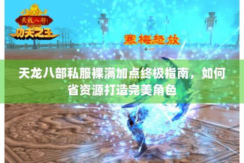 天龙八部私服裸满加点终极指南，如何省资源打造完美角色