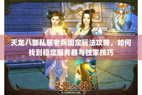 天龙八部私服老兵固定玩法攻略，如何找到稳定服务器与独家技巧