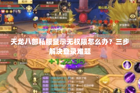 天龙八部私服显示无权限怎么办？三步解决登录难题
