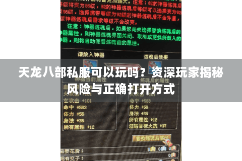 天龙八部私服可以玩吗？资深玩家揭秘风险与正确打开方式