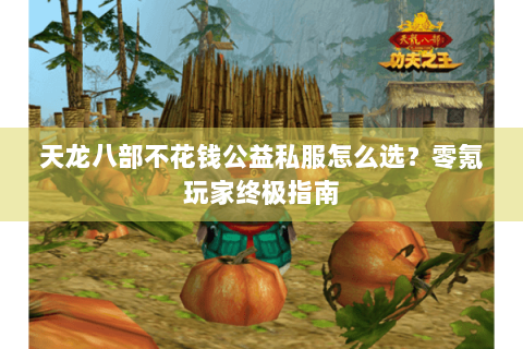 天龙八部不花钱公益私服怎么选?零氪玩家终极指南 天龙八部不花钱公益私服怎么选?零氪玩家终极指南