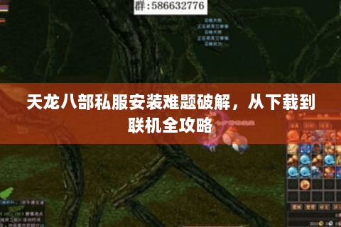天龙八部私服安装难题破解，从下载到联机全攻略