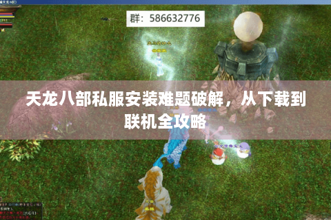 天龙八部私服安装难题破解，从下载到联机全攻略