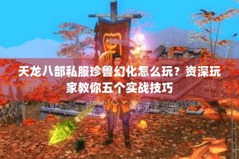 天龙八部私服珍兽幻化怎么玩？资深玩家教你五个实战技巧
