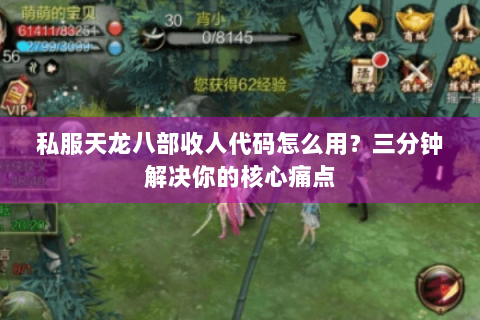 私服天龙八部收人代码怎么用？三分钟解决你的核心痛点