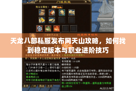 天龙八部私服发布网天山攻略，如何找到稳定版本与职业进阶技巧