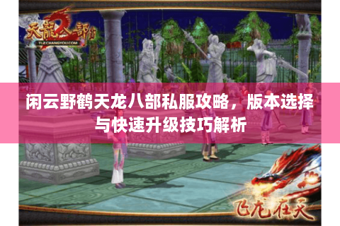 闲云野鹤天龙八部私服攻略，版本选择与快速升级技巧解析