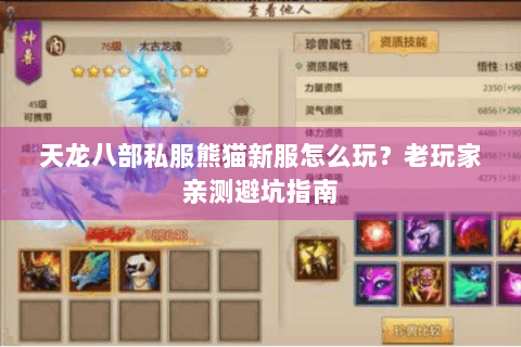 天龙八部私服熊猫新服怎么玩？老玩家亲测避坑指南