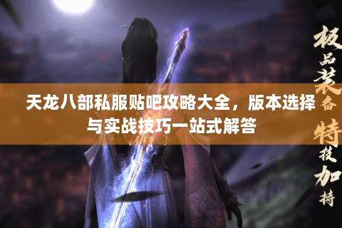 天龙八部私服贴吧攻略大全，版本选择与实战技巧一站式解答