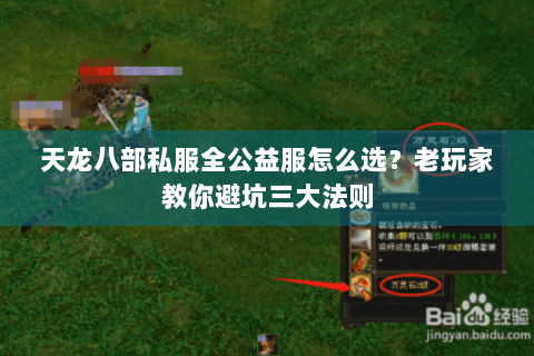 天龙八部私服全公益服怎么选?老玩家教你避坑三大法则 天龙八部私服全公益服怎么选?老玩家教你避坑三大法则