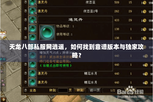 天龙八部私服网逍遥，如何找到靠谱版本与独家攻略？