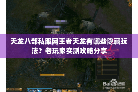 天龙八部私服网王者天龙有哪些隐藏玩法？老玩家实测攻略分享