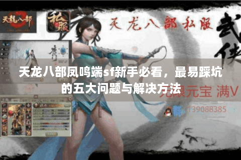 天龙八部凤鸣端sf新手必看，最易踩坑的五大问题与解决方法
