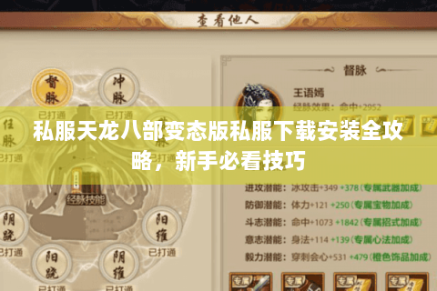 私服天龙八部变态版私服下载安装全攻略，新手必看技巧
