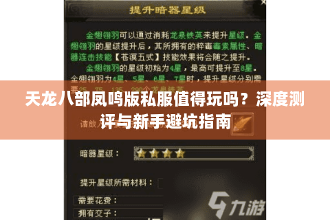 天龙八部凤鸣版私服值得玩吗？深度测评与新手避坑指南