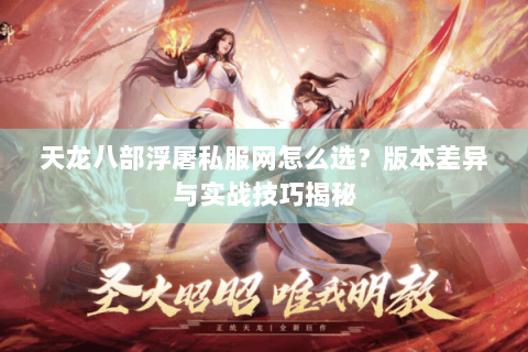 天龙八部浮屠私服网怎么选？版本差异与实战技巧揭秘