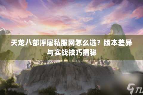 天龙八部浮屠私服网怎么选？版本差异与实战技巧揭秘