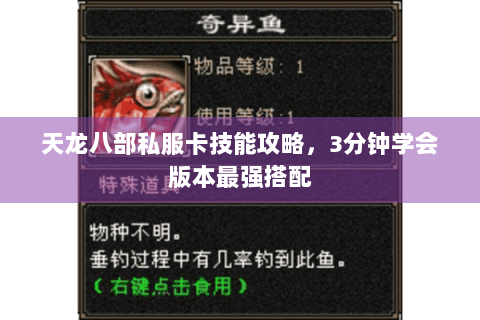 天龙八部私服卡技能攻略,3分钟学会版本最强搭配 天龙八部私服卡技能攻略,3分钟学会版本最强搭配