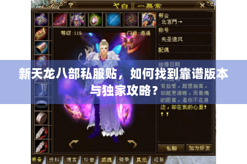 新天龙八部私服贴，如何找到靠谱版本与独家攻略？