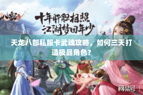 天龙八部私服卡武魂攻略，如何三天打造极品角色？