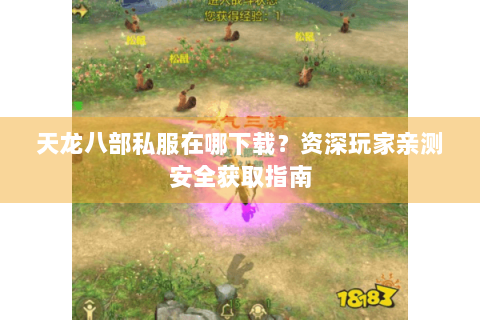 天龙八部私服在哪下载？资深玩家亲测安全获取指南