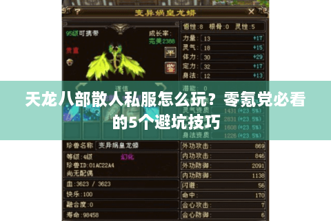 天龙八部散人私服怎么玩？零氪党必看的5个避坑技巧