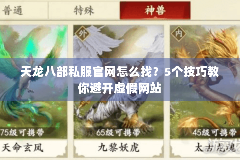 天龙八部私服官网怎么找？5个技巧教你避开虚假网站