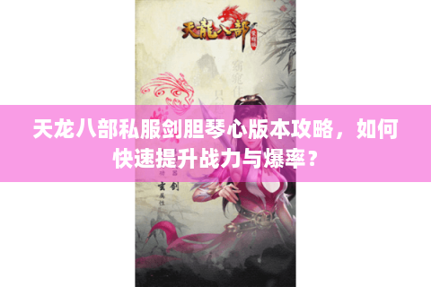 天龙八部私服剑胆琴心版本攻略，如何快速提升战力与爆率？