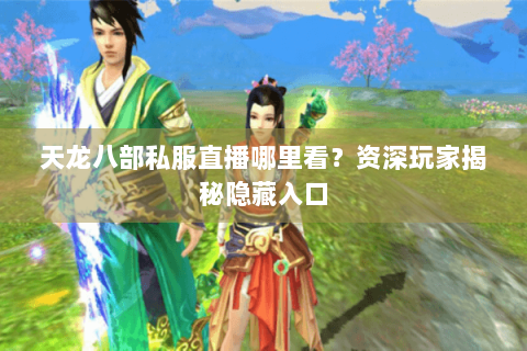 天龙八部私服直播哪里看?资深玩家揭秘隐藏入口 天龙八部私服直播哪里看?资深玩家揭秘隐藏入口