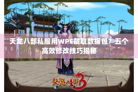 天龙八部私服用WPE截取数据包？五个高效修改技巧揭秘