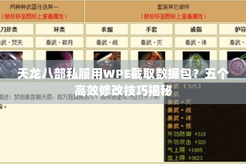 天龙八部私服用WPE截取数据包？五个高效修改技巧揭秘