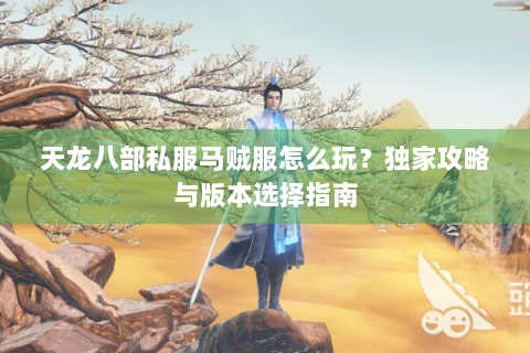 天龙八部私服马贼服怎么玩?独家攻略与版本选择指南 天龙八部私服马贼服怎么玩?独家攻略与版本选择指南