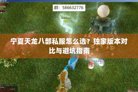 宁夏天龙八部私服怎么选?独家版本对比与避坑指南 宁夏天龙八部私服怎么选?独家版本对比与避坑指南