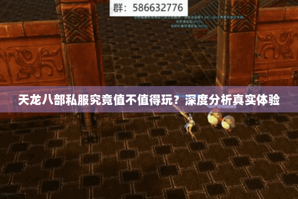 天龙八部私服究竟值不值得玩？深度分析真实体验