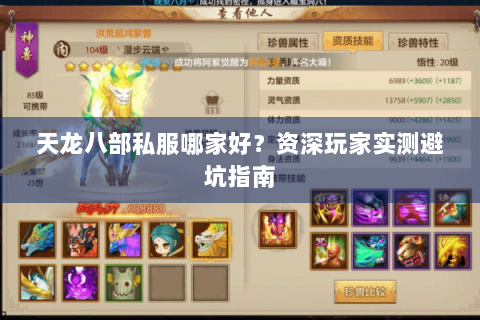 天龙八部私服哪家好？资深玩家实测避坑指南