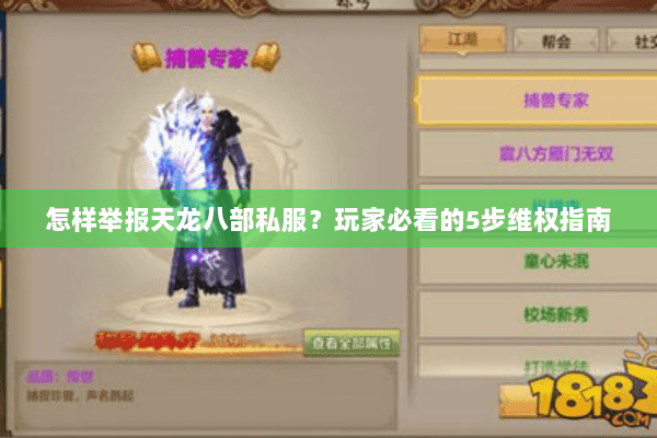 怎样举报天龙八部私服？玩家必看的5步维权指南