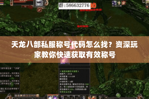 天龙八部私服称号代码怎么找？资深玩家教你快速获取有效称号