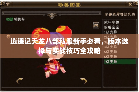 逍遥记天龙八部私服新手必看,版本选择与实战技巧全攻略 逍遥记天龙八部私服新手必看,版本选择与实战技巧全攻略
