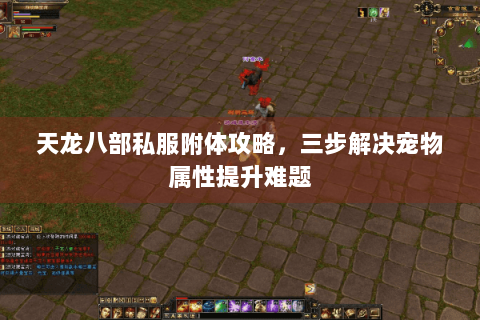 天龙八部私服附体攻略，三步解决宠物属性提升难题