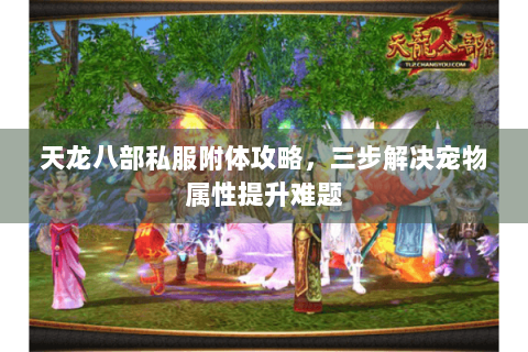 天龙八部私服附体攻略，三步解决宠物属性提升难题