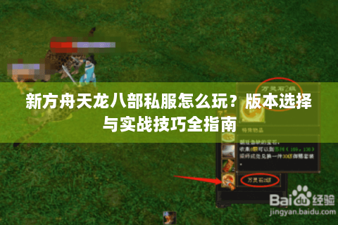 新方舟天龙八部私服怎么玩？版本选择与实战技巧全指南