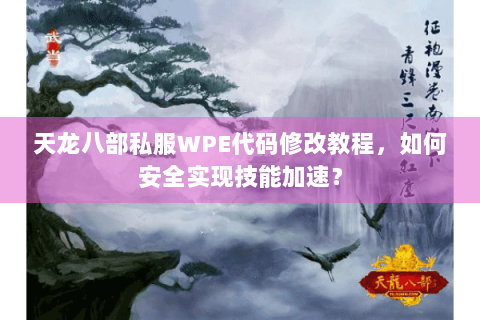 天龙八部私服WPE代码修改教程，如何安全实现技能加速？