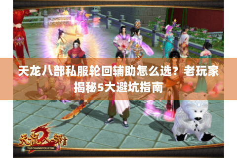 天龙八部私服轮回辅助怎么选？老玩家揭秘5大避坑指南