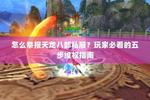 怎么举报天龙八部私服？玩家必看的五步维权指南