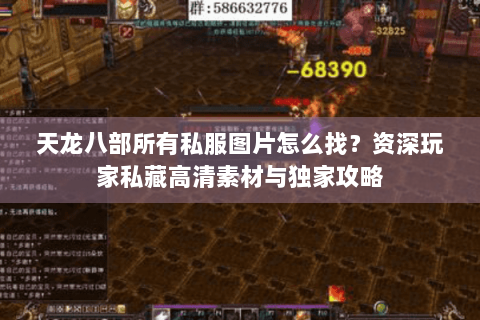 天龙八部所有私服图片怎么找？资深玩家私藏高清素材与独家攻略